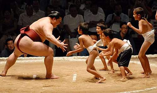 sumo