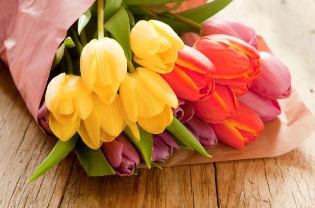 Tulips_JPG