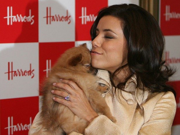 eva_longoria_cane