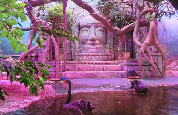 ekzoopark_trts_rio_spb_otzyiv_fotografii_6
