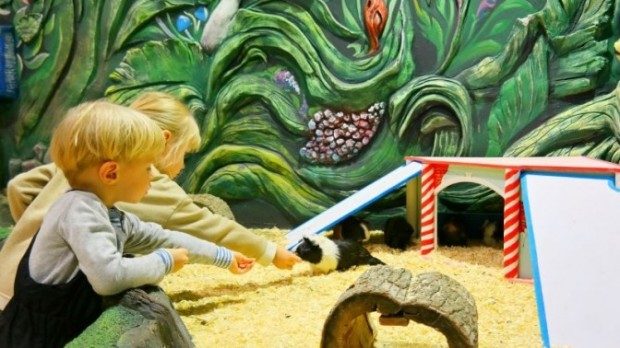 кенг